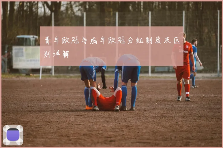 青年欧冠与成年欧冠分组制度及区别详解