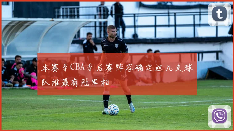 本赛季CBA季后赛阵容确定这几支球队谁最有冠军相