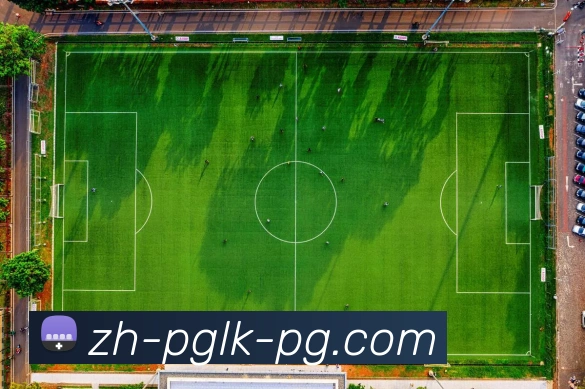 PG模拟器全站App